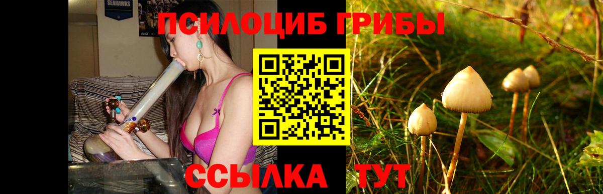 Галлюциногенные грибы мицелий Барабинск